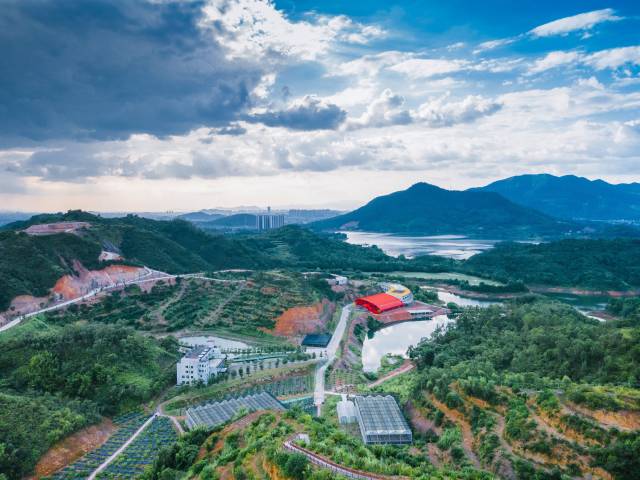 潮州市湘桥区佛手果产业园（扩容提质）