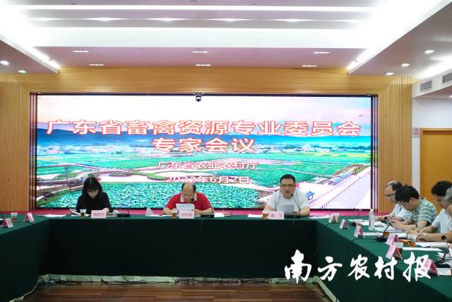 打好基础、铸牢基底！广东召开畜禽遗传资源专业委员会会议