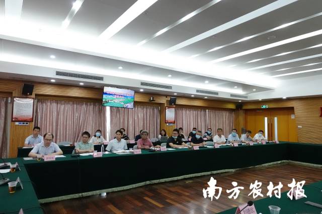 南方农村报 喻珺 拍摄