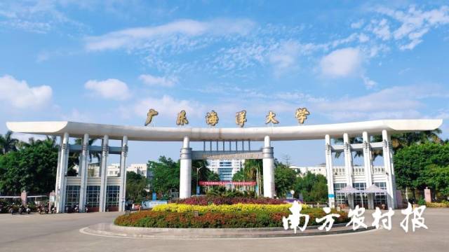 一条虾让农民创收26.56亿元！广东海洋大学如何作出乡村振兴妙手文章？