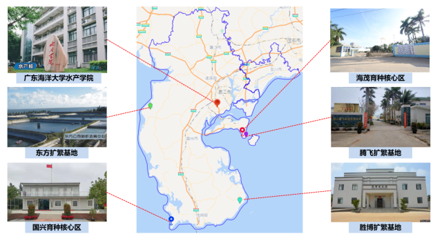 产业园“一心、两核、三扩、多推”的空间布局