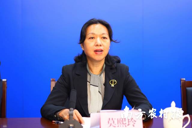 深圳市市场监管局副局长莫熙玲。