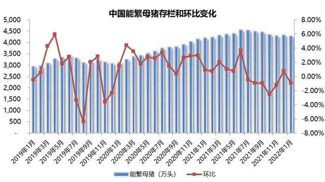 3000亿疯狂投资砸进行业，中国猪业或有1000万头母猪严重过剩？