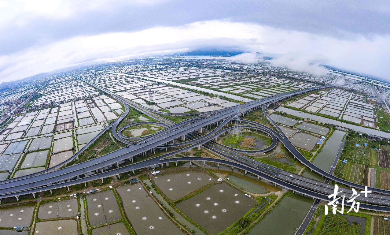 城势| 一桥飞架西东,"巨龙"横卧万亩鱼塘_南方plus_南方 