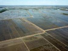 沿着总书记的足迹·黑龙江篇 | 奋力走出全面振兴全方位振兴新路子