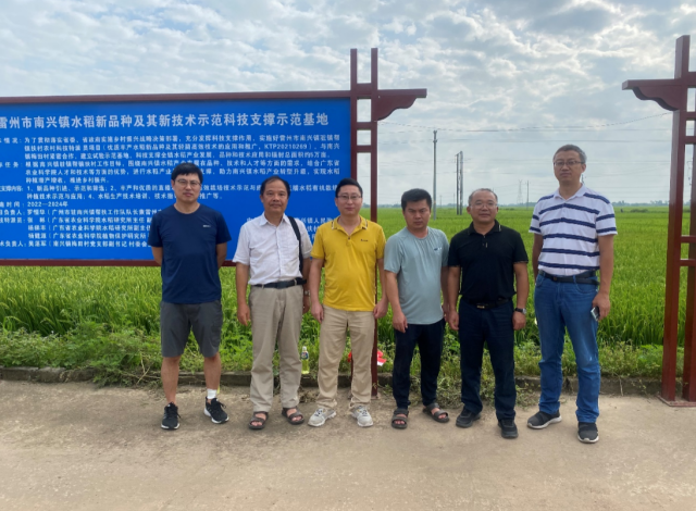 专家们在南兴镇梅田村新品种新技术试验示范基地调研。