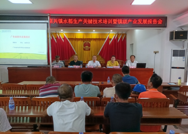 专题报告会场。