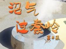 《足迹》第4集：沼气过秦岭