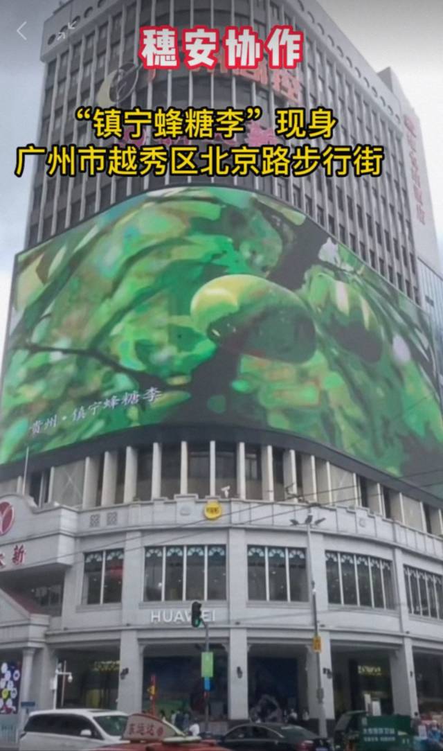 吃过纯甜的李子吗？来北京路，跟镇宁蜂糖李甜蜜相约～