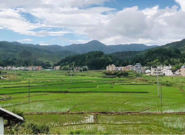 和平县轻叹家庭农场