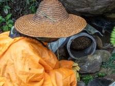 靠山吃山，怎么吃出“甜”和“绿”？