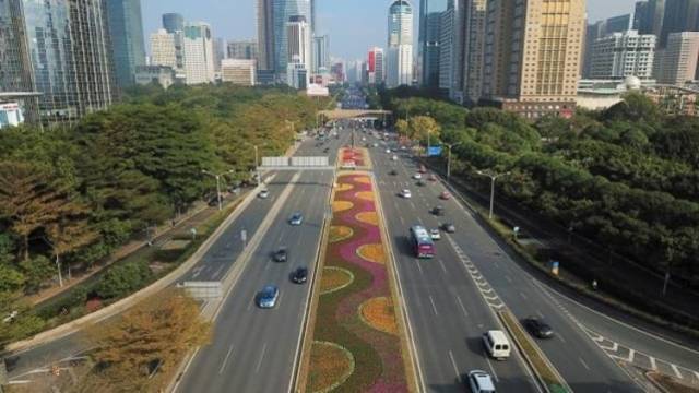 深圳高考出行攻略！警惕这6个考点周边积水，免费送考开始预约