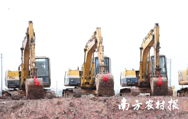 丽宫预制菜产业园正式动工建设。