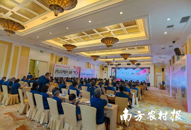 广东荔枝绿色生产技术交流会暨培训班在广州举办