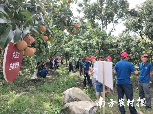 南方农村报 受访者供图 拍摄