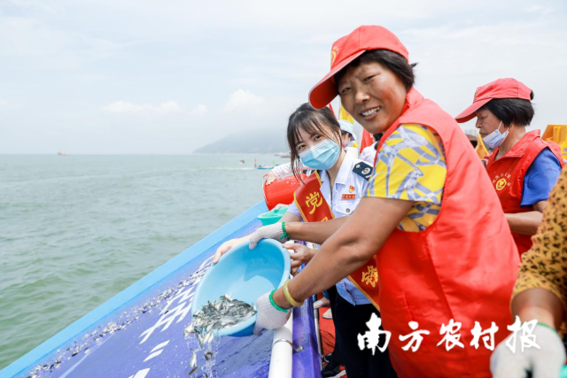 0  南方農(nóng)村報(bào) 俸敏 拍攝