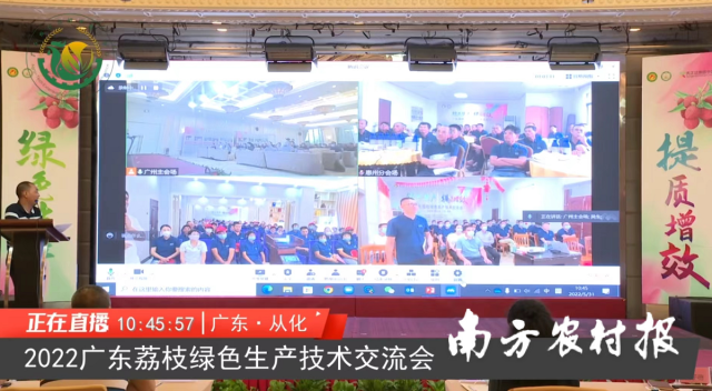 现场连线分会场  