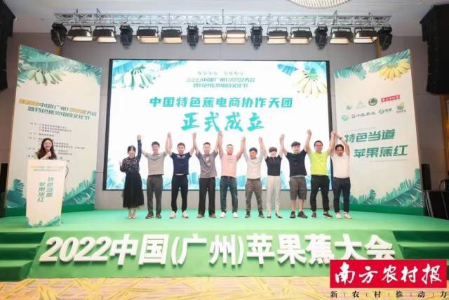 中国特色蕉电商协作天团成立
