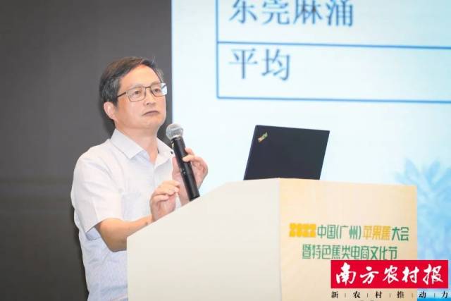 苹果蕉主要选育者、广东省农业科学院果树研究所研究员黄秉智