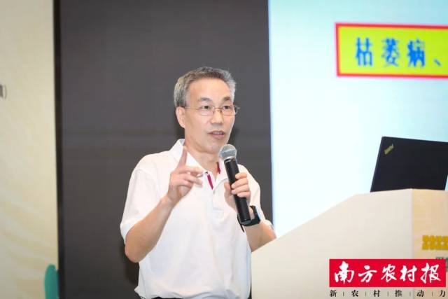 国家香蕉产业技术体系岗位科学家、华南农业大学教授李华平