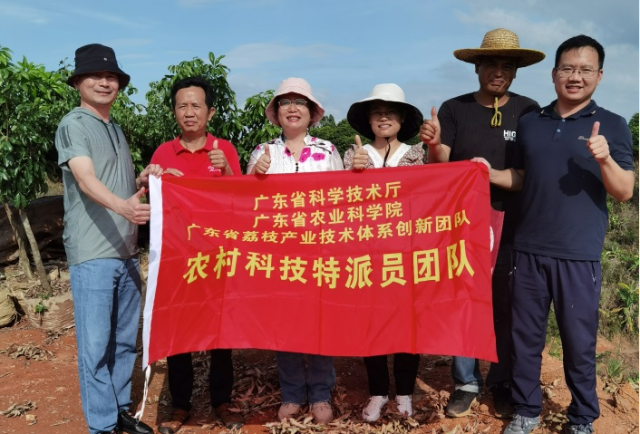 科技驻镇进行时︱科技特派员助力优化高州市东岸镇荔枝品种