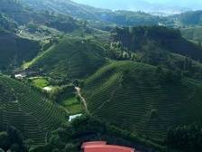 沿着总书记的足迹·福建篇 | 闽山闽水物华新