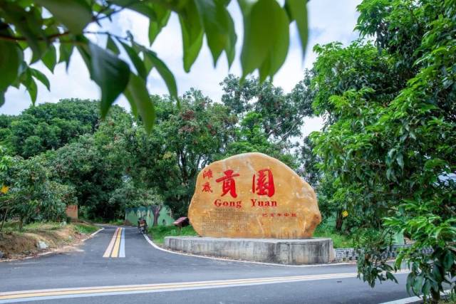 红荔历史
