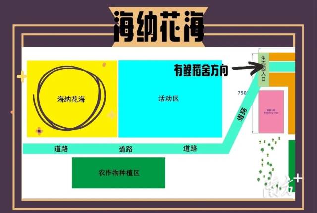 南方农村报 陈迎 拍摄