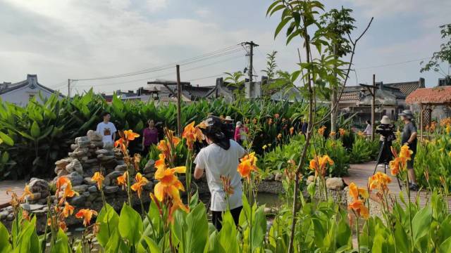汕头市潮南区东华村内游客拍照纪念 