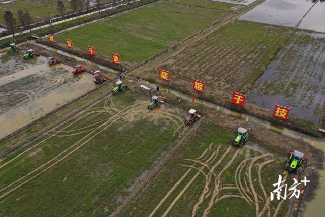 海纳农业的种植基地。（受访者供图）