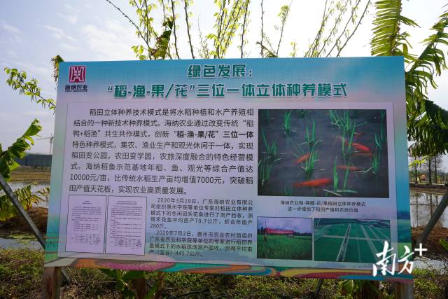 南方农村报 陈迎 拍摄