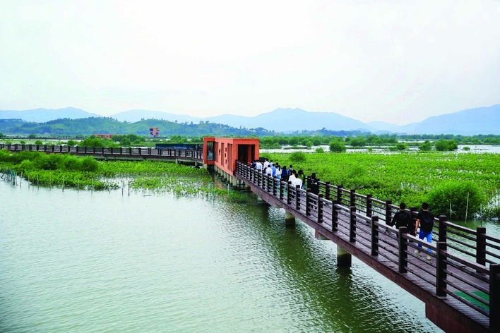 游客走在好招楼湿地公园景观栈道上,欣赏红树林风光。 游客走在好招楼湿地公园景观栈道上,欣赏红树林风光。