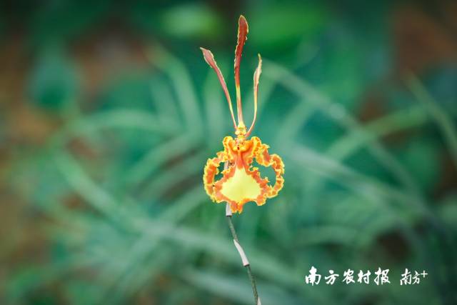 南方农村报 南方农村报 拍摄