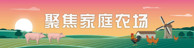 厉害了！他们养猪竟比上市巨头成本便宜1元/斤？