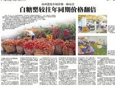 白糖罂较往年同期价格翻倍|速览《南方日报·高州视窗》61期