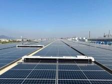 激发“绿色”新动能，碳中和生态圈如何形成合力