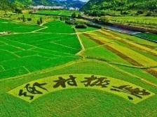 陆丰市乡村振兴示范带擂台赛（第四季）重磅来袭！