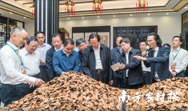 2019年,时任农业农村部部长韩长赋一行调研新会陈皮国家现代农业产业园。 2019年,时任农业农村部部长韩长赋一行调研新会陈皮国家现代农业产业园。