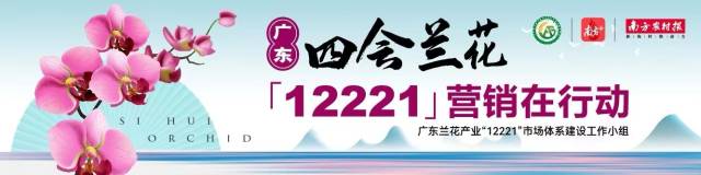 首登广州塔！广东四会兰花“点亮”大湾区，致敬父爱