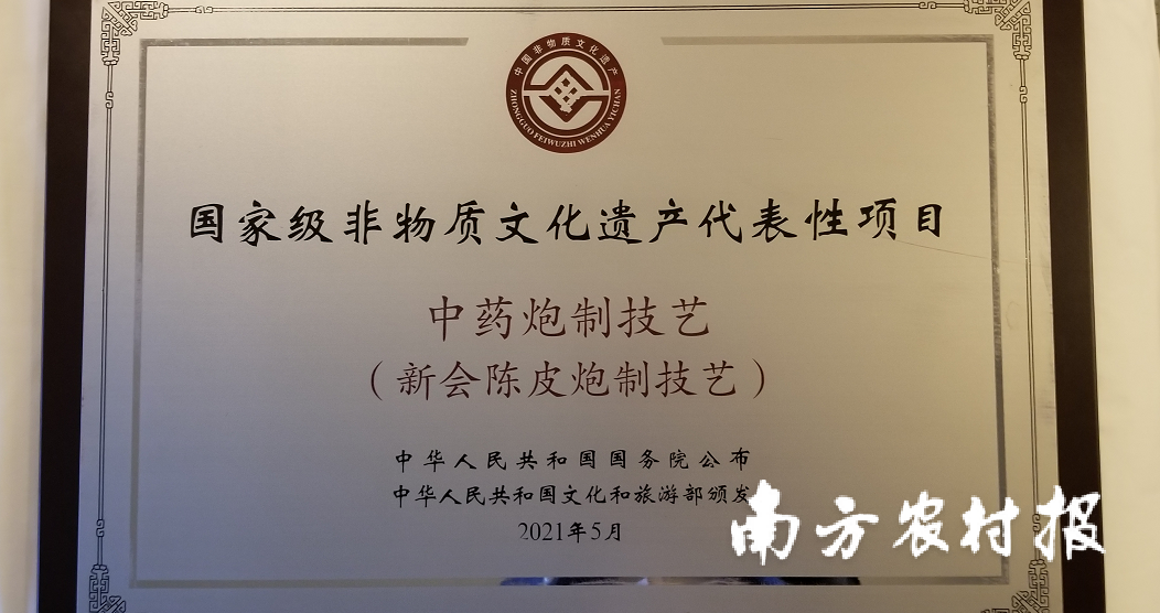 刚刚！新会陈皮正式“获颁”国家级非遗牌匾！