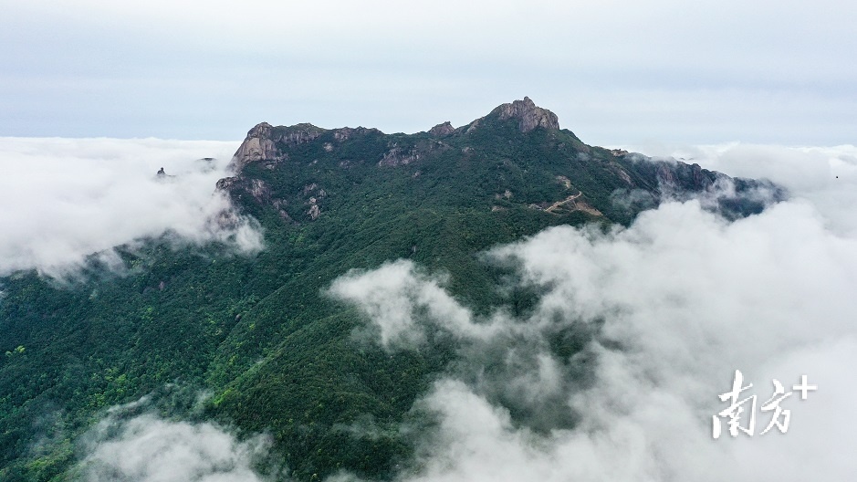 广东新丰云髻山（无人机照片）。温振鹏 摄