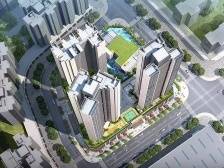 377万/套上车沙井，“招商雍和府”推174套住宅，精装交付｜踩盘日记