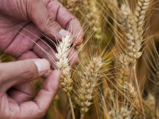 中原奋进正扬帆——沿着总书记的足迹之河南篇