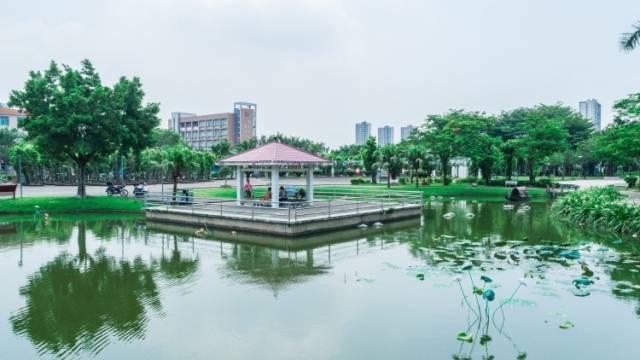 Hi 我在榄核的第30天