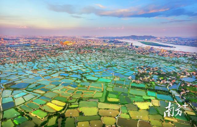 南海区"桑园围水脉"乡村振兴示范带风貌.  通讯员供图