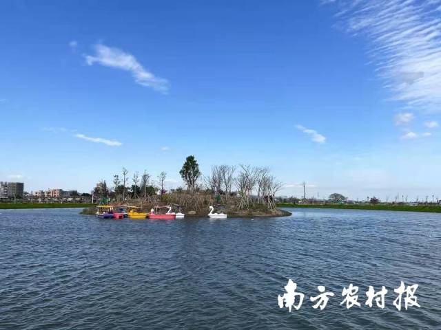 今年1月1日，陇田文体公园正式对外开放。 郑若茵 拍摄