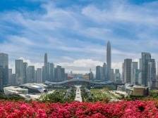 在更高起点上推进改革开放——沿着总书记的足迹之广东篇