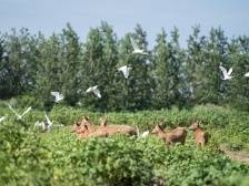 沿着总书记的足迹·湖南篇 | 在推动高质量发展上闯出新路子