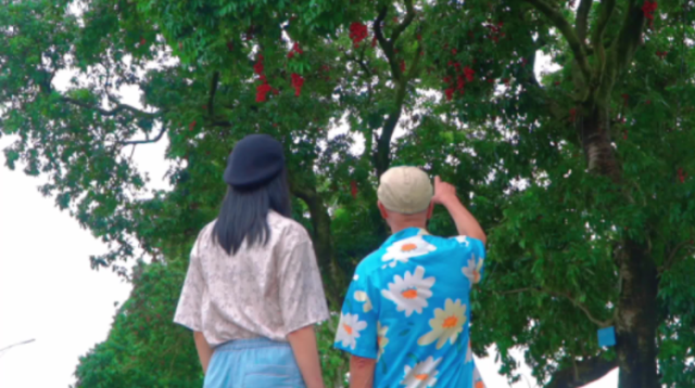 Hi 我在榄核的第32天