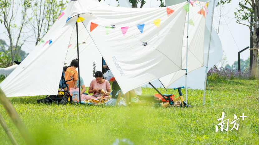 黄旗山。黄伟兴 摄